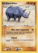 The Black Rhino