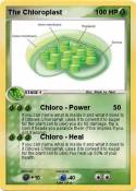 The Chloroplast