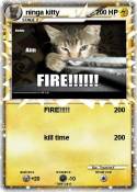 ninga kitty