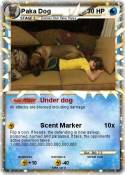 Paka Dog