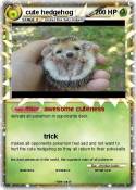 cute hedgehog