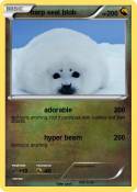 harp seal blob