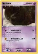 Tha Böcü