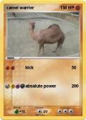 camel warrier