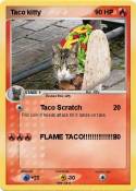 Taco kitty