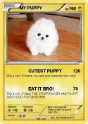 MY PUPPY