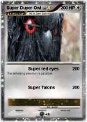 Super Duper Owl