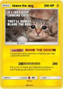 blame the dog