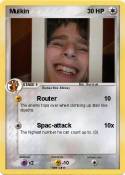 Mulkin