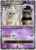 cat marrige