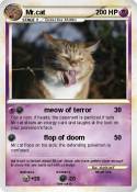 Mr.cat