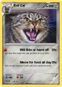 Evil Cat
