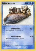 Zebra Mussels