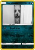 Dog of death