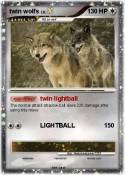 twin wolfs