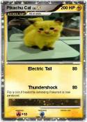 Pikachu Cat