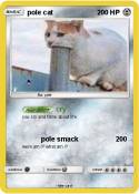 pole cat
