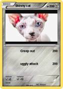 Skinny cat
