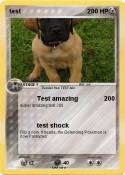 test
