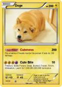Doge