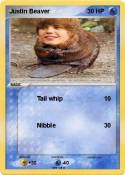 Justin Beaver