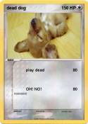 dead dog