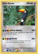 Toco Toucan