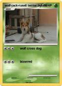 wolf-jack-rusell