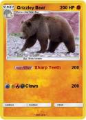 Grizzley Bear