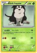 black hayate