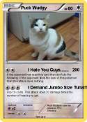 Puck Wudgy