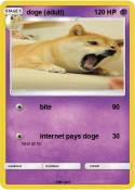 doge (adult)
