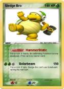 Sledge Bro