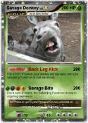 Savage Donkey