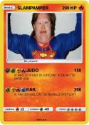 SLAMPAMPER