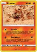 Fire Ants