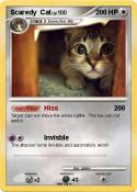 Scaredy Cat