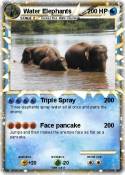 Water Elephants
