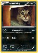 Scared Kitty