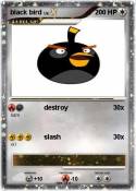 black bird