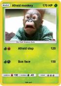 Afraid monkey