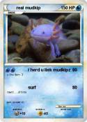 real mudkip