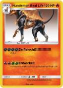 Hundemon Real