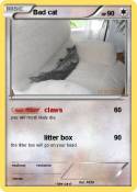 Bad cat