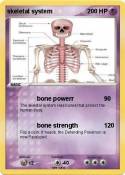 skeletal system
