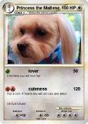 Princess the Maltese Princess the