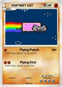 POPTART CAT