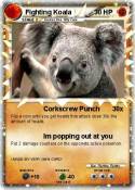 Fighting Koala