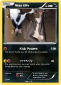 Ninja kitty
