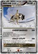 AWSOME DOG